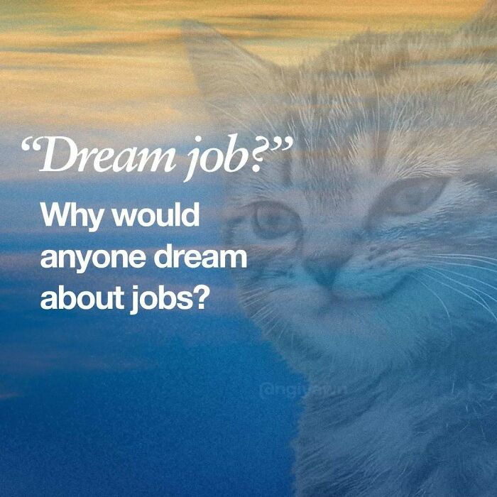 89 Relatable Cat Memes That Might Make You Say &ldquo;Honestly, Same&rdquo;