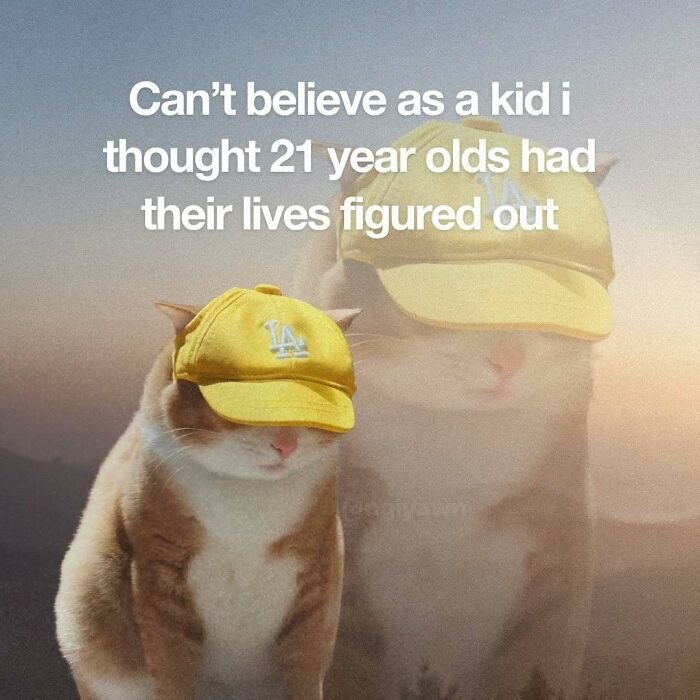 89 Relatable Cat Memes That Might Make You Say &ldquo;Honestly, Same&rdquo;