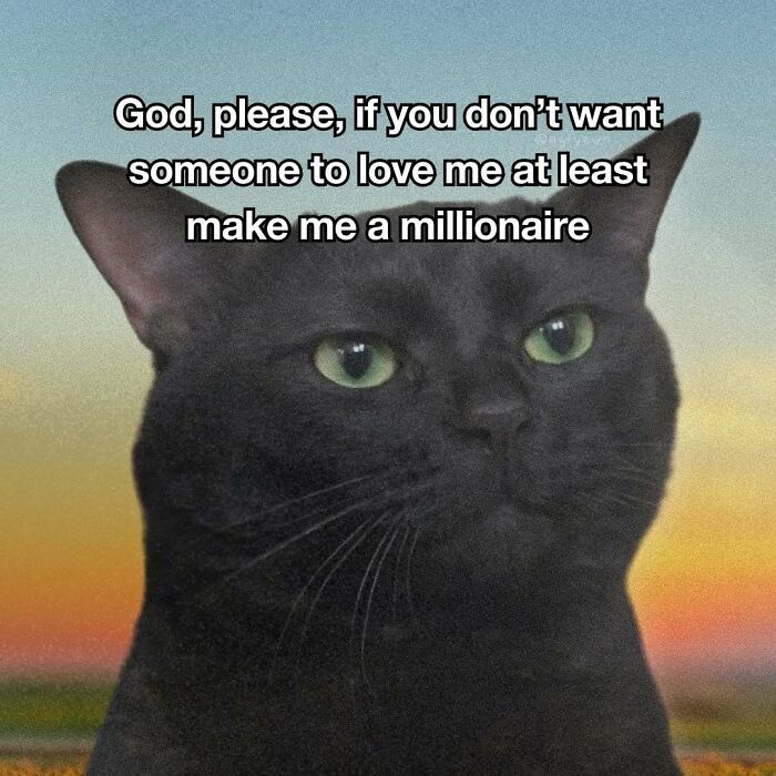 89 Relatable Cat Memes That Might Make You Say &ldquo;Honestly, Same&rdquo;