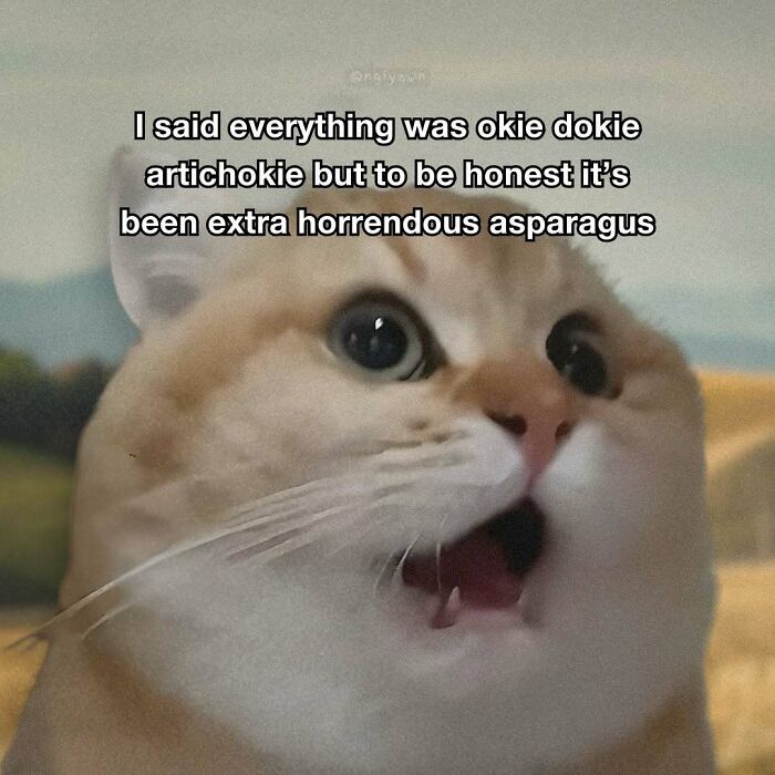 89 Relatable Cat Memes That Might Make You Say &ldquo;Honestly, Same&rdquo;