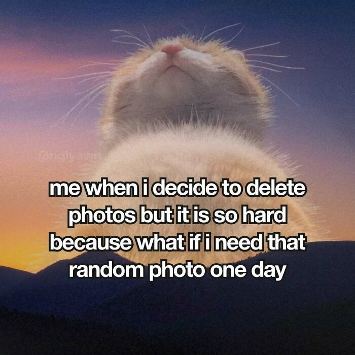 89 Relatable Cat Memes That Might Make You Say &ldquo;Honestly, Same&rdquo;
