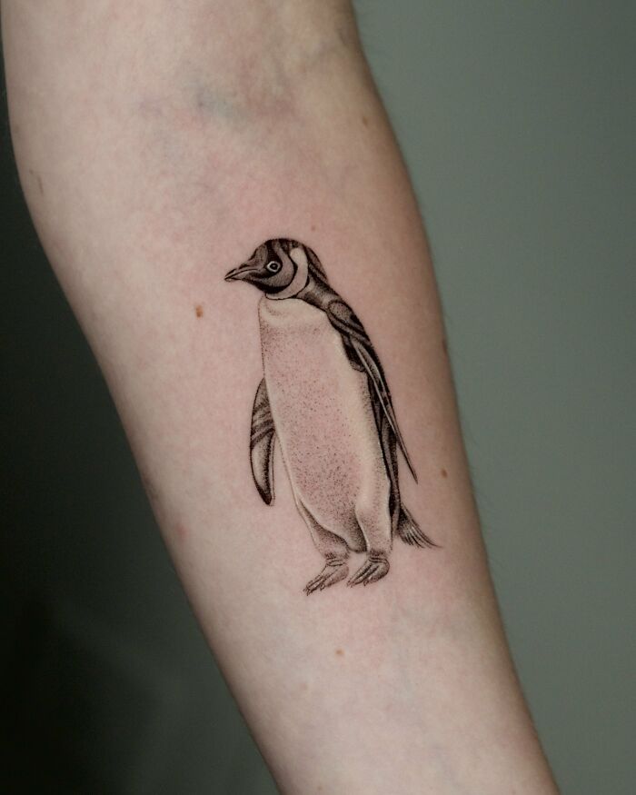 I Love Turning Nature Into Ink, And Here Are 20 Of My Favorite Animal Tattoos With Deep Symbolic Meanings I Love Turning Nature Into Ink, And Here Are 20 Of My Favorite Animal Tattoos With Deep Symbolic Meanings