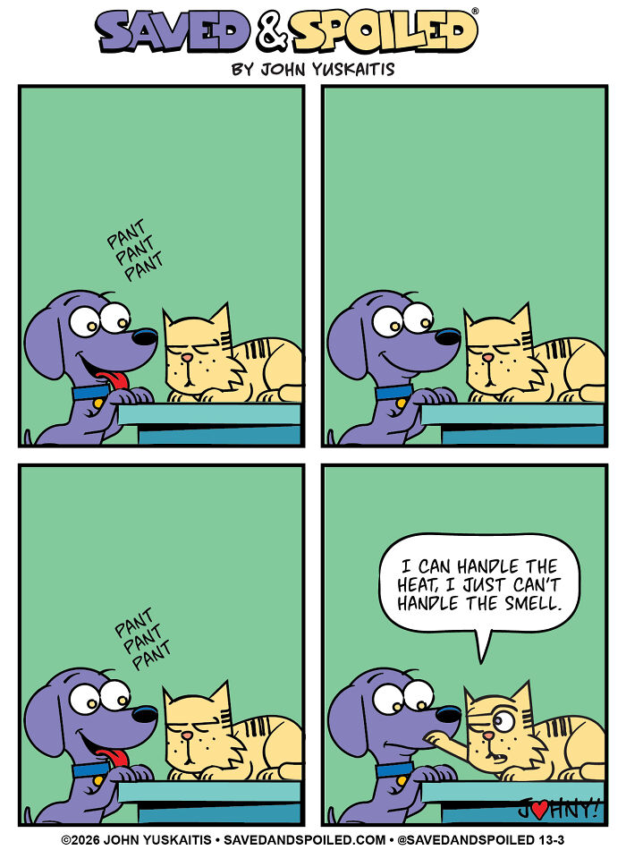 25 New Comics About My Dog And Cat, Who Couldn&rsquo;t Be More Different If They Tried