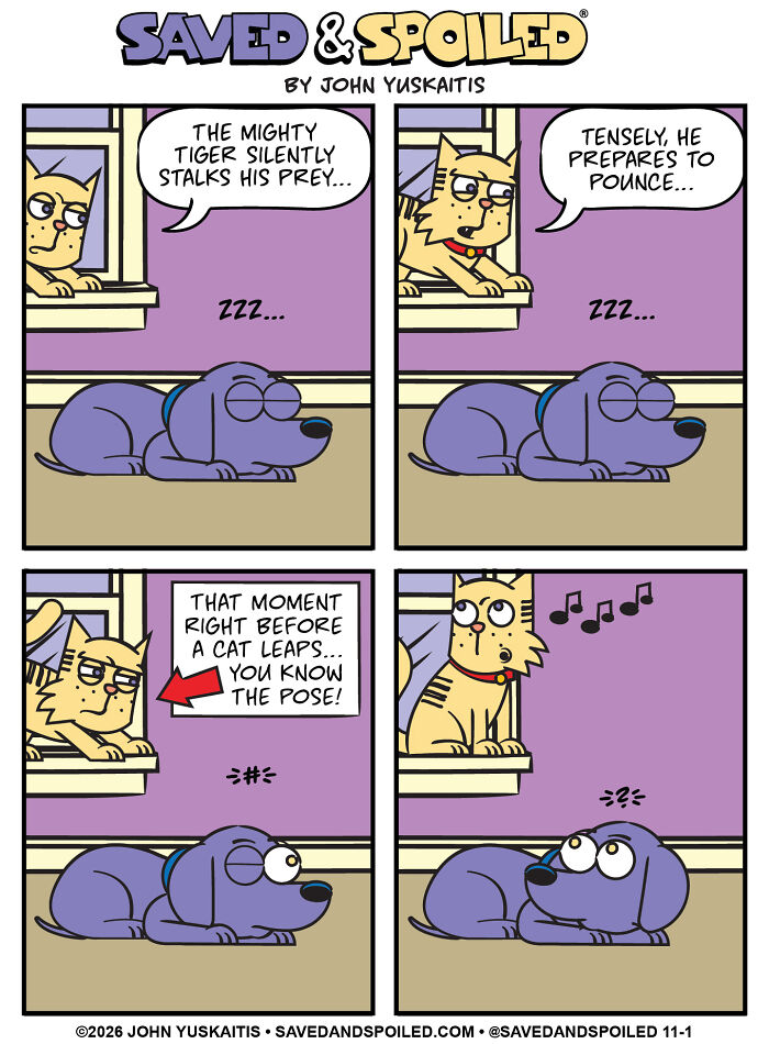 25 New Comics About My Dog And Cat, Who Couldn&rsquo;t Be More Different If They Tried