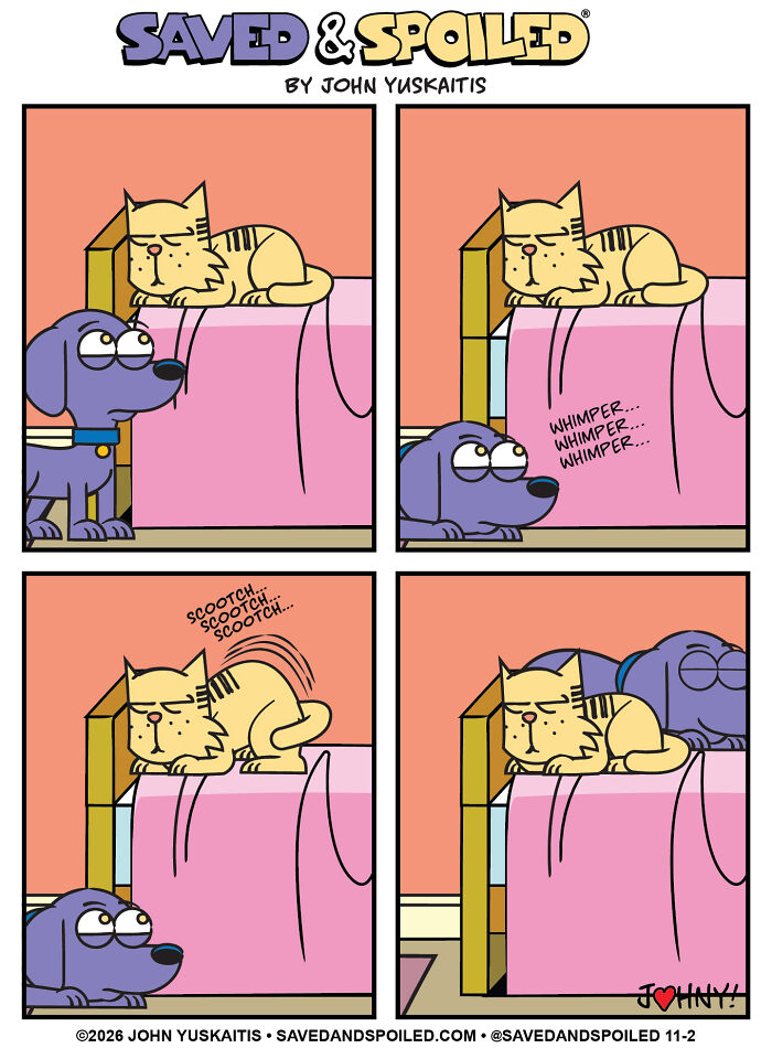 25 New Comics About My Dog And Cat, Who Couldn&rsquo;t Be More Different If They Tried