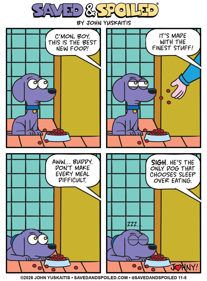 25 New Comics About My Dog And Cat, Who Couldn&rsquo;t Be More Different If They Tried