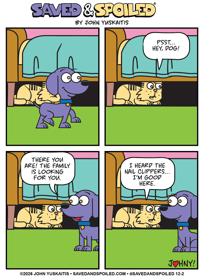 25 New Comics About My Dog And Cat, Who Couldn&rsquo;t Be More Different If They Tried