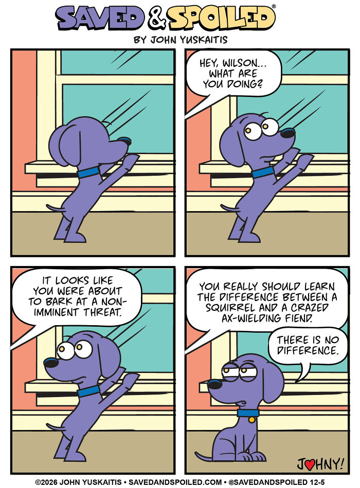 25 New Comics About My Dog And Cat, Who Couldn&rsquo;t Be More Different If They Tried