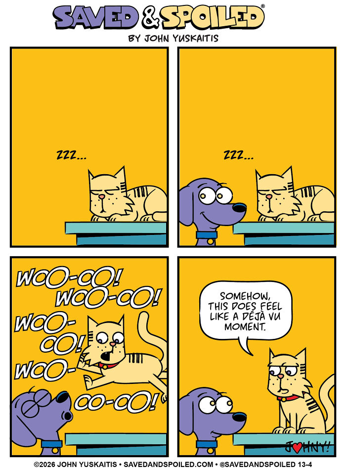 25 New Comics About My Dog And Cat, Who Couldn&rsquo;t Be More Different If They Tried