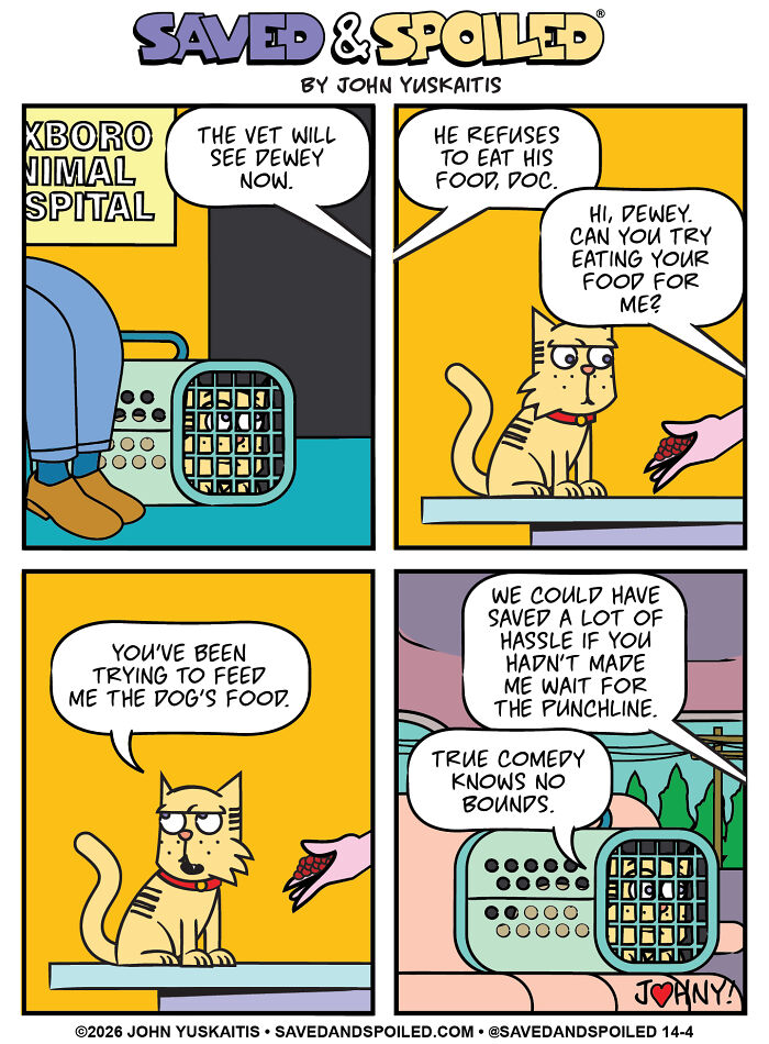 25 New Comics About My Dog And Cat, Who Couldn&rsquo;t Be More Different If They Tried