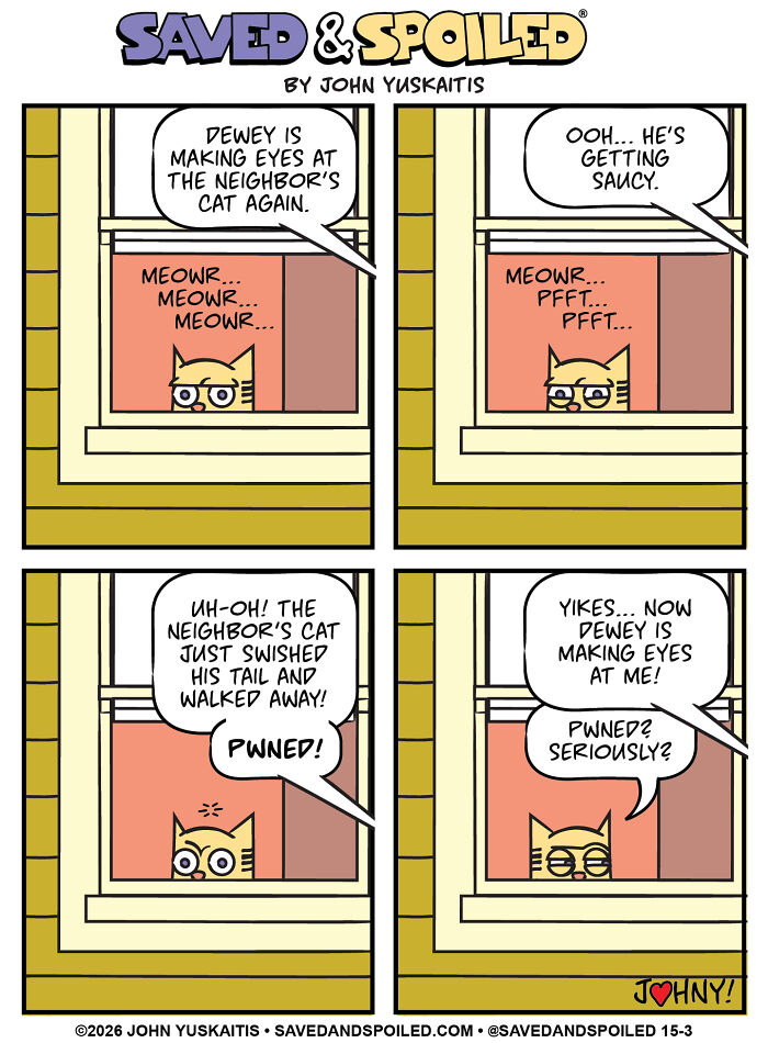 25 New Comics About My Dog And Cat, Who Couldn&rsquo;t Be More Different If They Tried