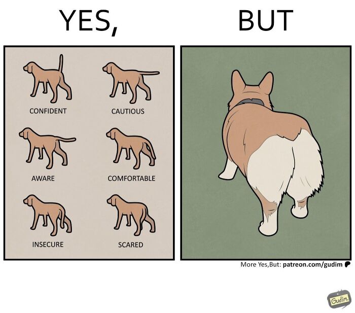 26 New Clever “Yes, But” Comics That Point Out Things We Somehow Never Question 26 New Clever “Yes, But” Comics That Point Out Things We Somehow Never Question