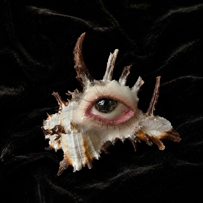 Artists Angie And Yoori Turn Seashells Into Surreal Sculptures With Human Eyes (33 Pics) Artists Angie And Yoori Turn Seashells Into Surreal Sculptures With Human Eyes (33 Pics)