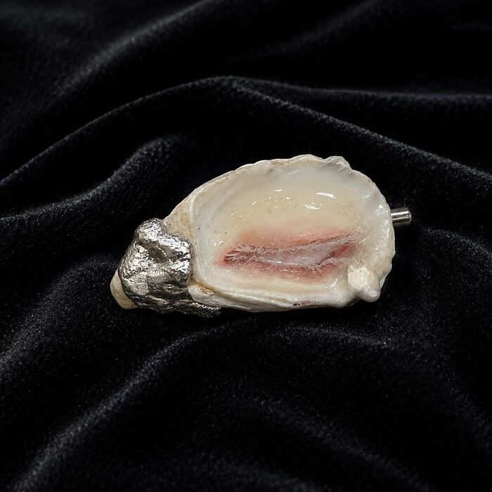 Artists Angie And Yoori Turn Seashells Into Surreal Sculptures With Human Eyes (33 Pics) Artists Angie And Yoori Turn Seashells Into Surreal Sculptures With Human Eyes (33 Pics)