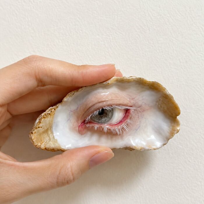 Artists Angie And Yoori Turn Seashells Into Surreal Sculptures With Human Eyes (33 Pics) Artists Angie And Yoori Turn Seashells Into Surreal Sculptures With Human Eyes (33 Pics)