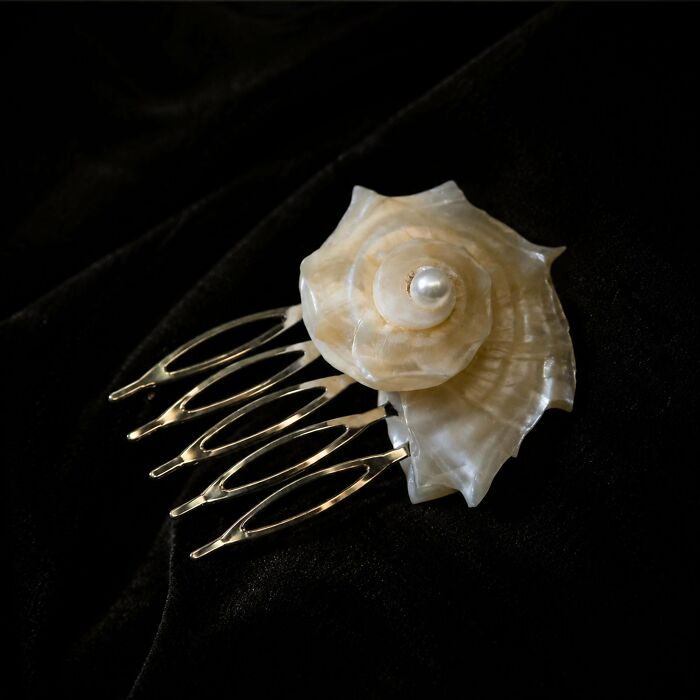 Artists Angie And Yoori Turn Seashells Into Surreal Sculptures With Human Eyes (33 Pics) Artists Angie And Yoori Turn Seashells Into Surreal Sculptures With Human Eyes (33 Pics)