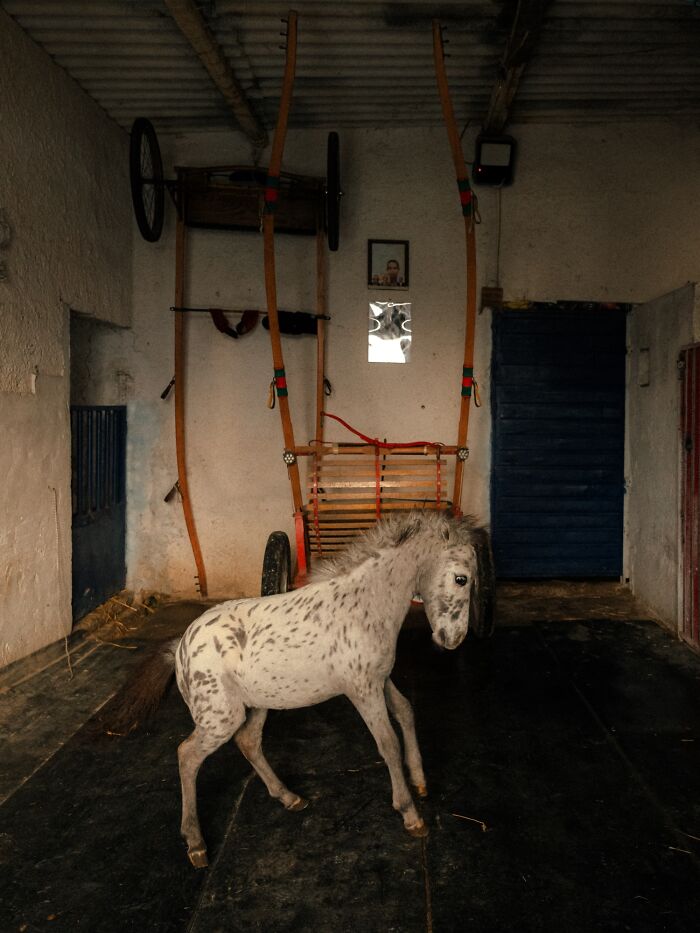 32 Stunning Winning Photos From The 2026 Analog Sparks International Film Photography Awards 32 Stunning Winning Photos From The 2026 Analog Sparks International Film Photography Awards