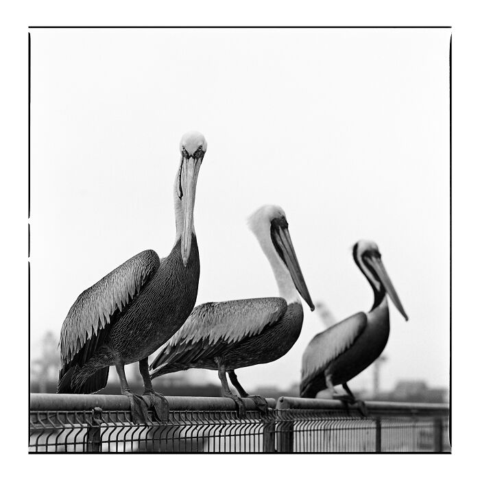 32 Stunning Winning Photos From The 2026 Analog Sparks International Film Photography Awards 32 Stunning Winning Photos From The 2026 Analog Sparks International Film Photography Awards