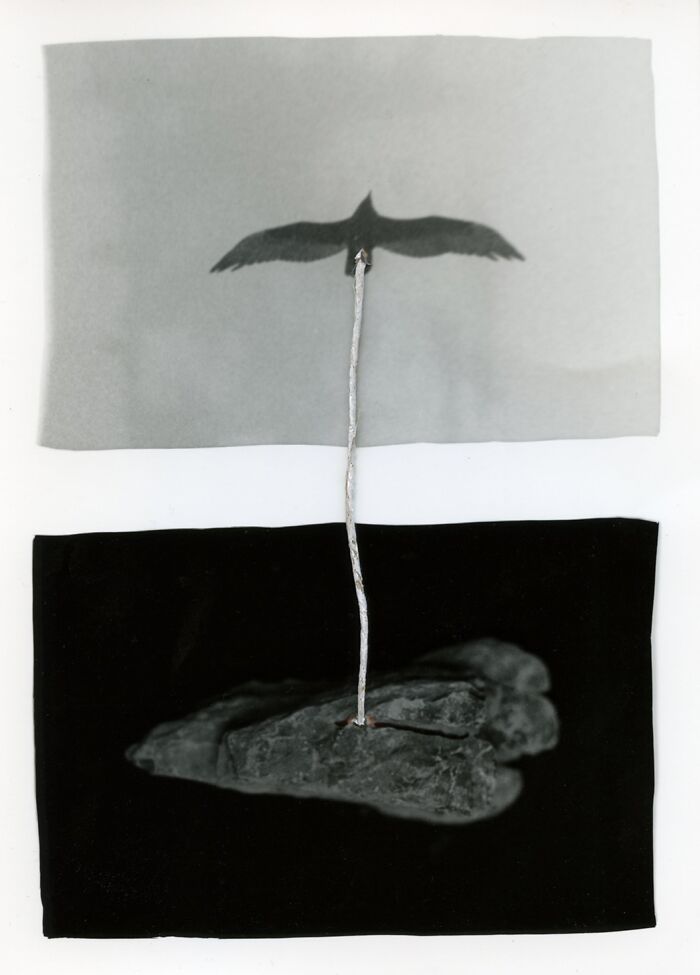 32 Stunning Winning Photos From The 2026 Analog Sparks International Film Photography Awards 32 Stunning Winning Photos From The 2026 Analog Sparks International Film Photography Awards