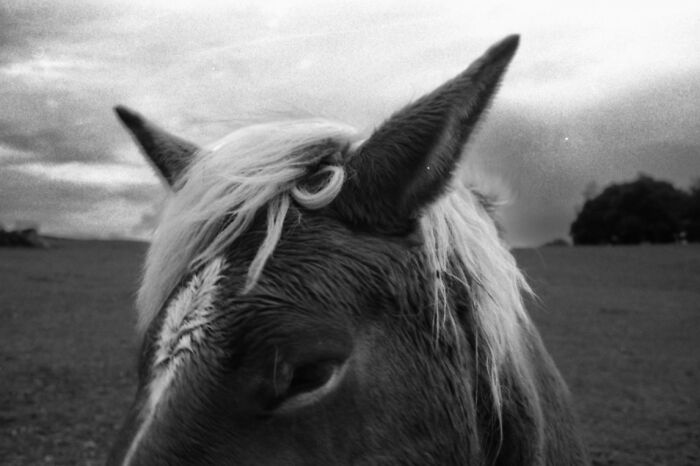 32 Stunning Winning Photos From The 2026 Analog Sparks International Film Photography Awards 32 Stunning Winning Photos From The 2026 Analog Sparks International Film Photography Awards
