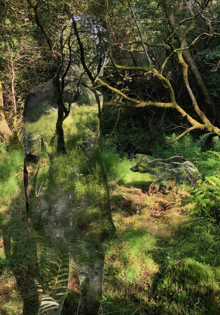 35 Reflective Artworks By Rob Mulholland That Seem To Disappear Into The Landscape 35 Reflective Artworks By Rob Mulholland That Seem To Disappear Into The Landscape