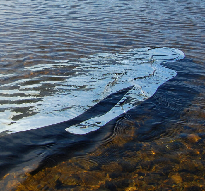 35 Reflective Artworks By Rob Mulholland That Seem To Disappear Into The Landscape 35 Reflective Artworks By Rob Mulholland That Seem To Disappear Into The Landscape