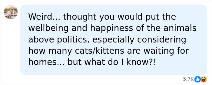 Nonprofit Under Fire After Refusing To Let Specific Group Of People Adopt Kittens: “How Did They Know?” Nonprofit Under Fire After Refusing To Let Specific Group Of People Adopt Kittens: “How Did They Know?”