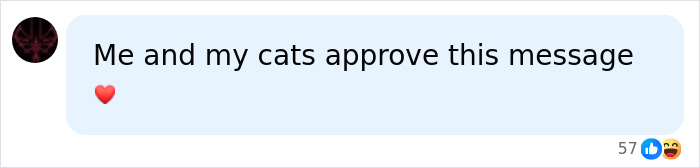 Nonprofit Under Fire After Refusing To Let Specific Group Of People Adopt Kittens: “How Did They Know?” Nonprofit Under Fire After Refusing To Let Specific Group Of People Adopt Kittens: “How Did They Know?”