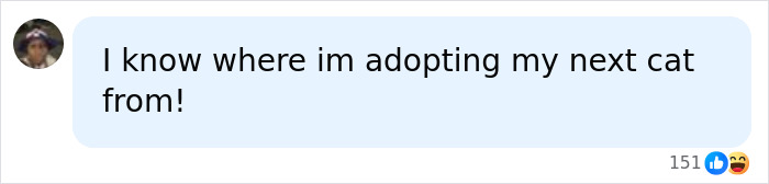 Nonprofit Under Fire After Refusing To Let Specific Group Of People Adopt Kittens: “How Did They Know?” Nonprofit Under Fire After Refusing To Let Specific Group Of People Adopt Kittens: “How Did They Know?”
