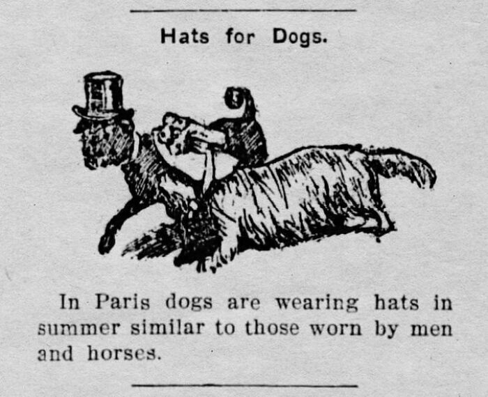 70 Fascinating Newspaper Clippings That Show What People Were Talking About Decades Ago