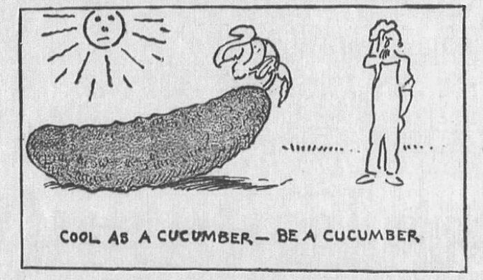 70 Fascinating Newspaper Clippings That Show What People Were Talking About Decades Ago