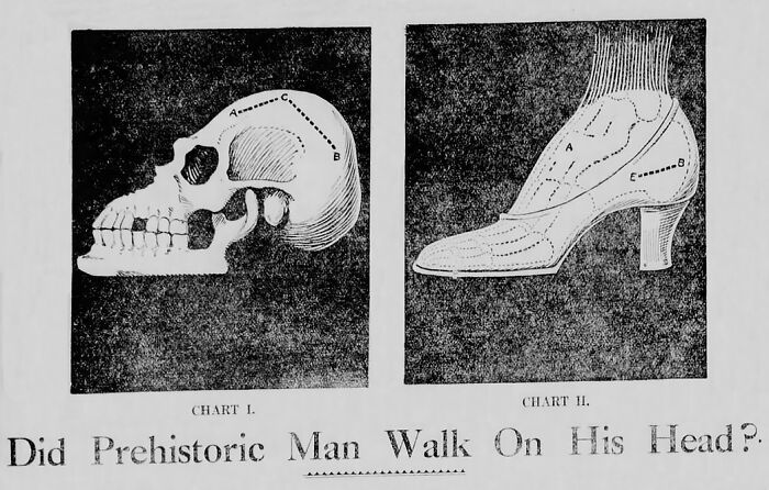 70 Fascinating Newspaper Clippings That Show What People Were Talking About Decades Ago