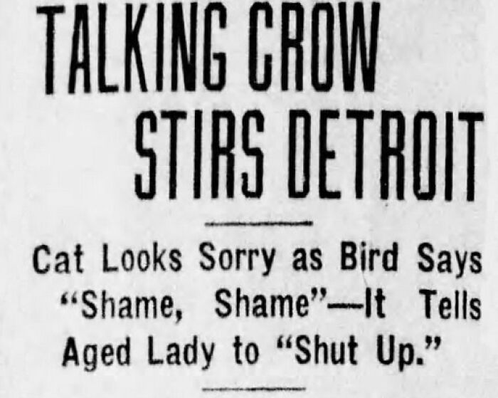 70 Fascinating Newspaper Clippings That Show What People Were Talking About Decades Ago