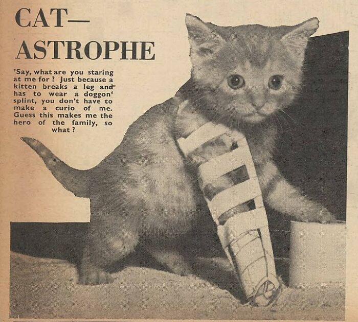 70 Fascinating Newspaper Clippings That Show What People Were Talking About Decades Ago