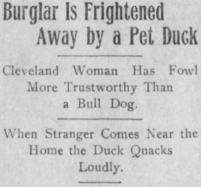 70 Fascinating Newspaper Clippings That Show What People Were Talking About Decades Ago