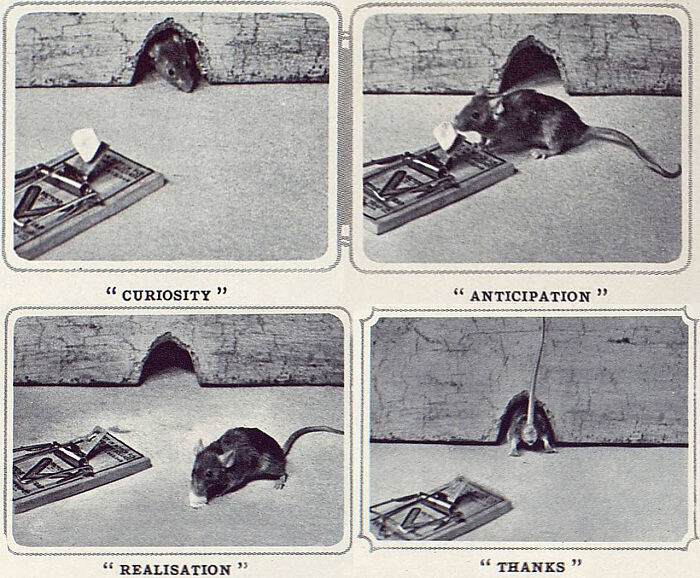 70 Fascinating Newspaper Clippings That Show What People Were Talking About Decades Ago