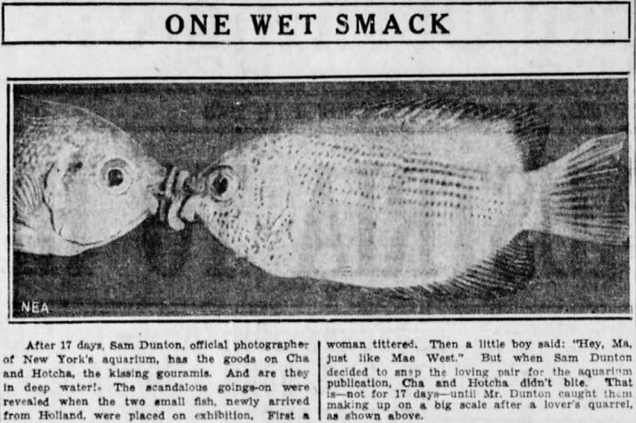 70 Fascinating Newspaper Clippings That Show What People Were Talking About Decades Ago