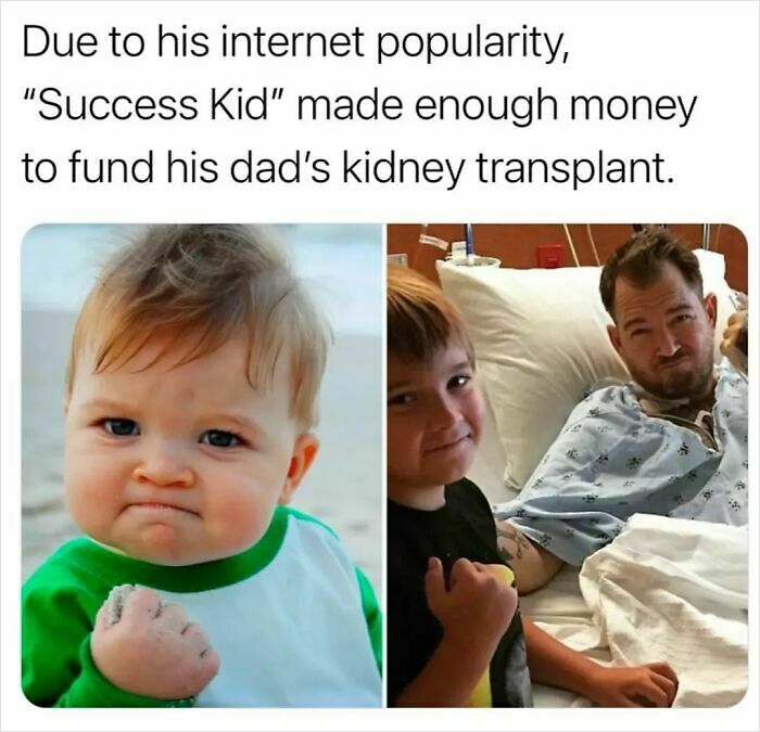 87 Photos That Are So Wholesome They Might Leave You Feeling Warm And Fuzzy (New Pics)
