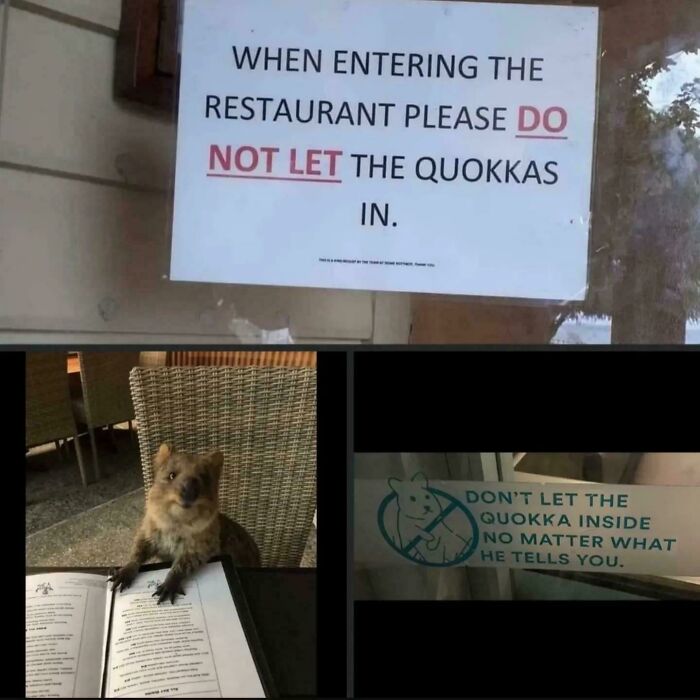 87 Photos That Are So Wholesome They Might Leave You Feeling Warm And Fuzzy (New Pics)