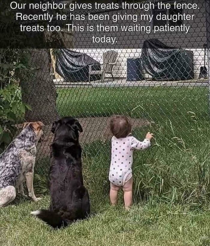 87 Photos That Are So Wholesome They Might Leave You Feeling Warm And Fuzzy (New Pics)