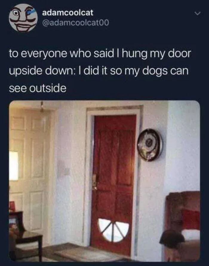 87 Photos That Are So Wholesome They Might Leave You Feeling Warm And Fuzzy (New Pics)