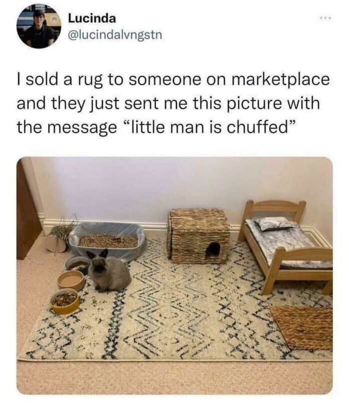87 Photos That Are So Wholesome They Might Leave You Feeling Warm And Fuzzy (New Pics)