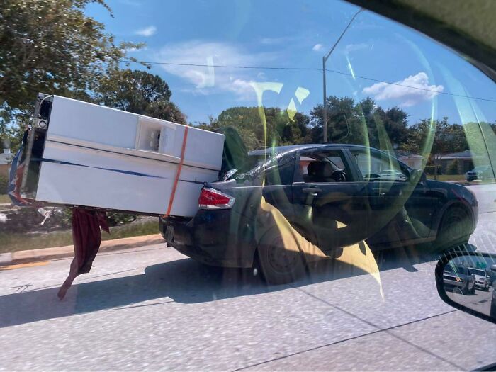 Moving Day Chaos Presented Perfectly In These 58 Pics Moving Day Chaos Presented Perfectly In These 58 Pics
