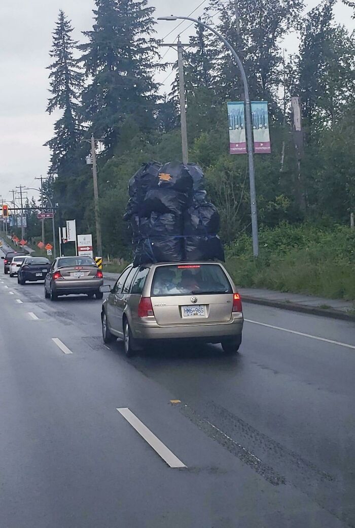 Moving Day Chaos Presented Perfectly In These 58 Pics Moving Day Chaos Presented Perfectly In These 58 Pics