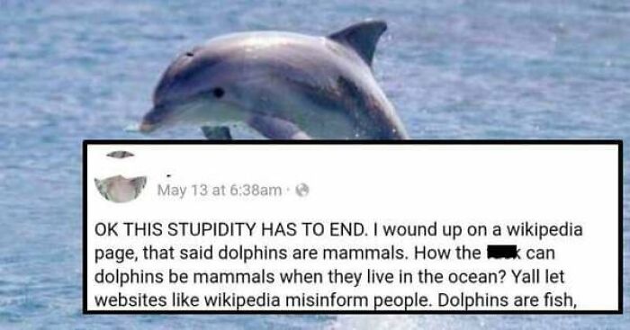73 Facepalm-Worthy Examples Of People Being Proudly Stupid Online 73 Facepalm-Worthy Examples Of People Being Proudly Stupid Online