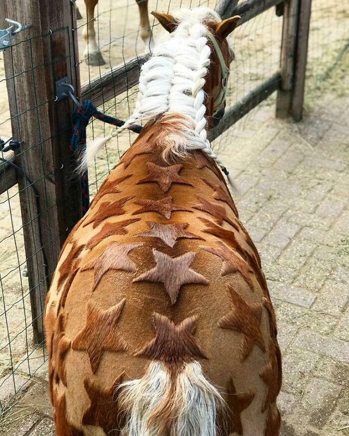 89 Examples Of Flawless Craftsmanship Wasted On Completely Unhinged And Weird Concepts (New Pics)
