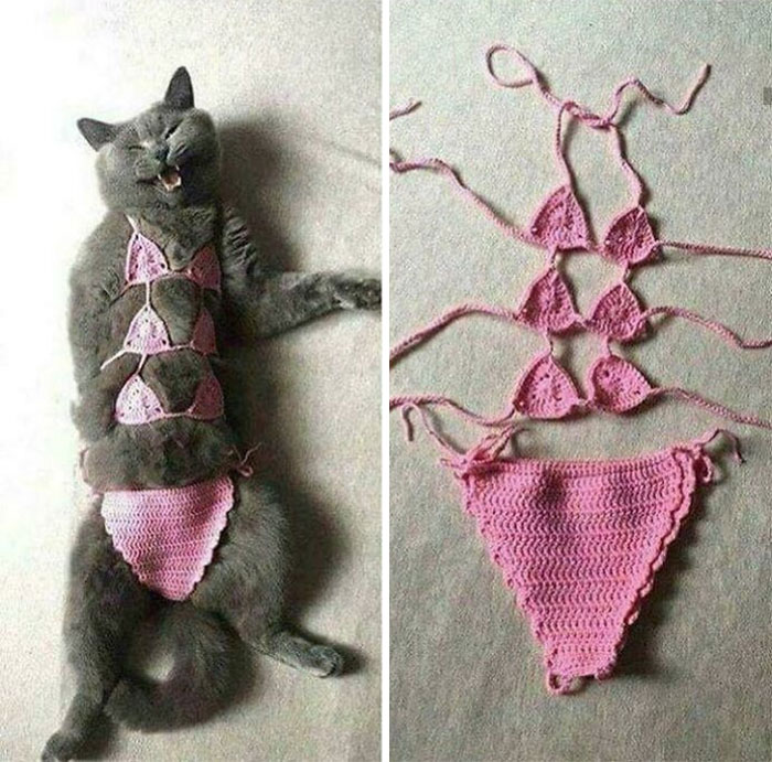 89 Examples Of Flawless Craftsmanship Wasted On Completely Unhinged And Weird Concepts (New Pics)