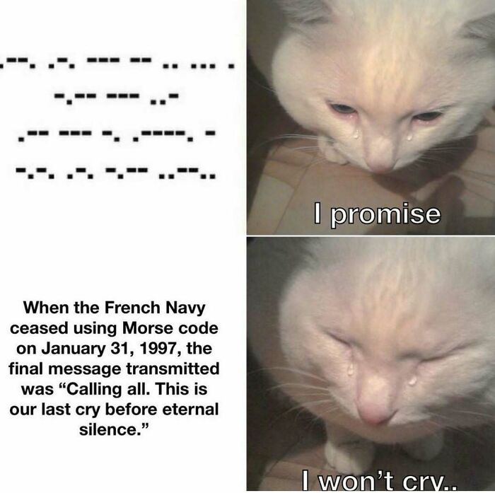 82 History Memes That Make Humanity&rsquo;s Worst Moments Weirdly Funny