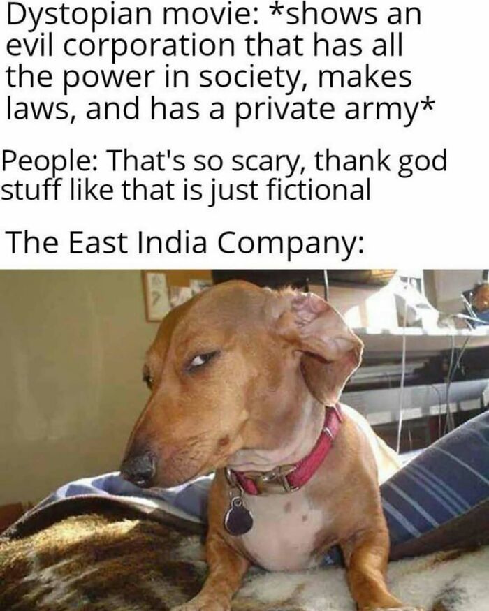 82 History Memes That Make Humanity&rsquo;s Worst Moments Weirdly Funny