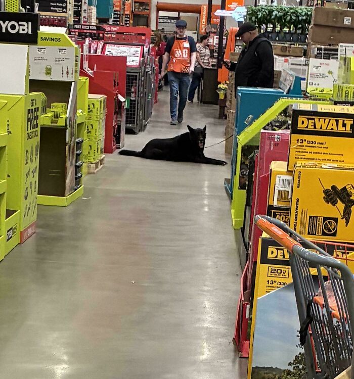 62 Posts That Show What Working At Home Depot Is Actually Like 62 Posts That Show What Working At Home Depot Is Actually Like